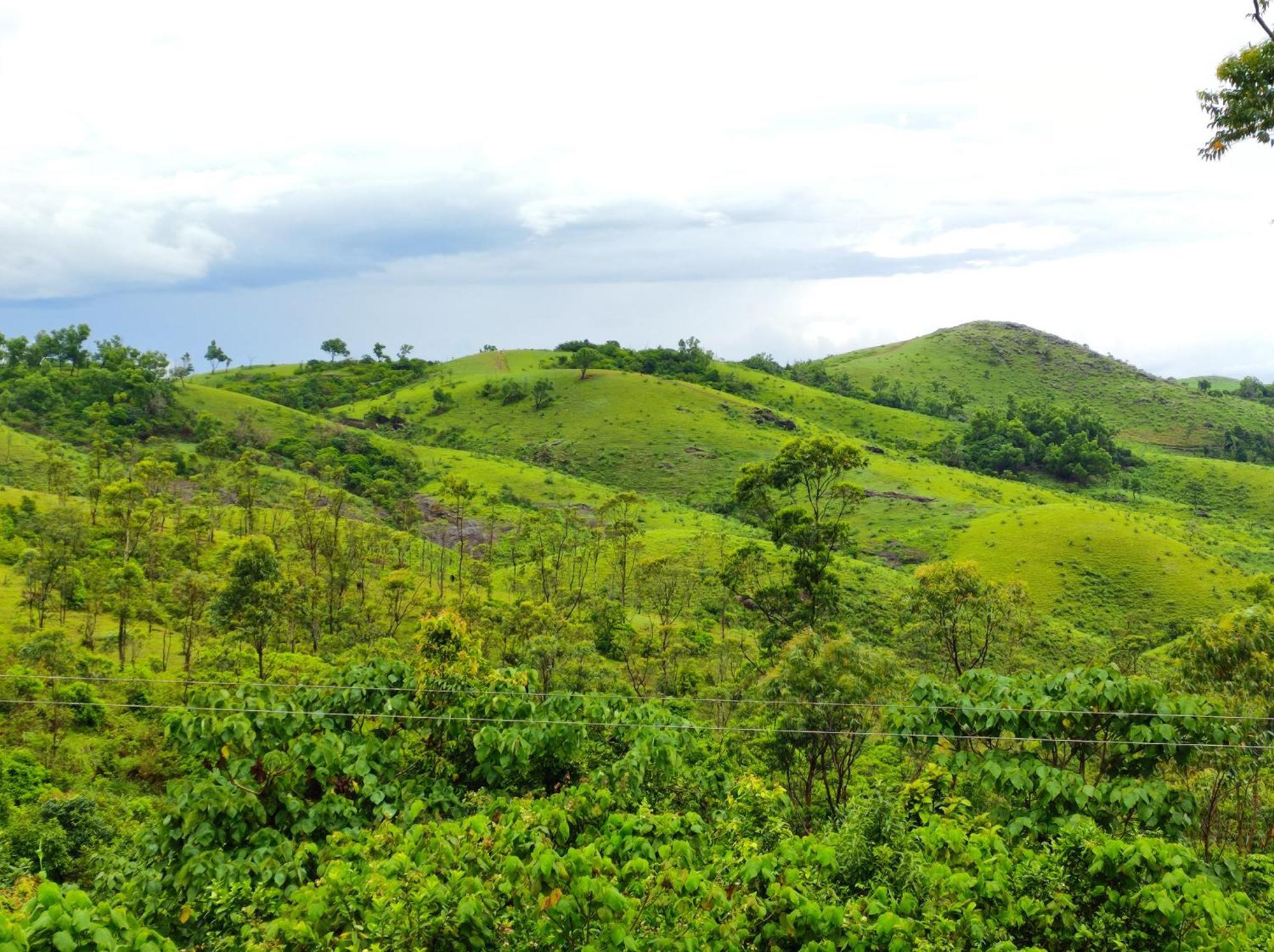 Appartamento Winter Woods Vagamon Esterno foto
